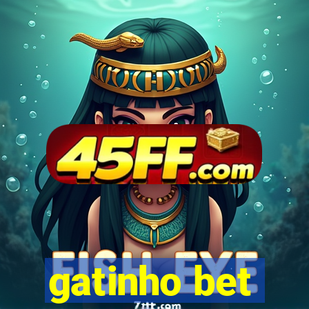 gatinho bet